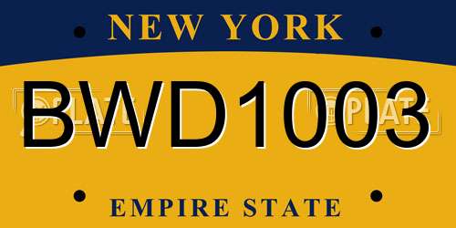 BWD1003 New York License Plate