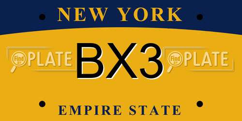 BX3 New York License Plate