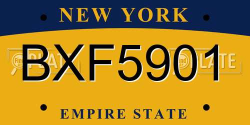 BXF5901 New York License Plate