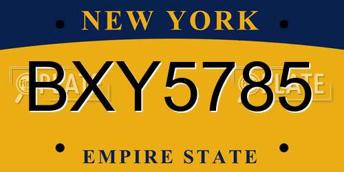 BXY5785 New York License Plate