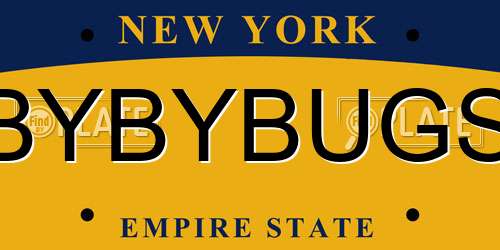 BYBYBUGS New York License Plate