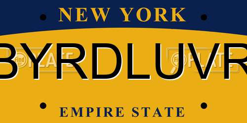 BYRDLUVR New York License Plate
