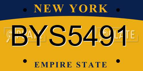 BYS5491 New York License Plate