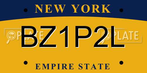 BZ1P2L New York License Plate