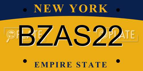 BZAS22 New York License Plate