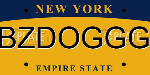 BZDOGGG New York License Plate