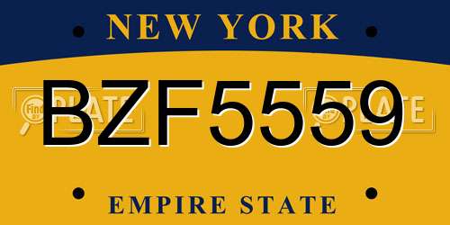 BZF5559 New York License Plate