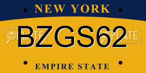 BZGS62 New York License Plate