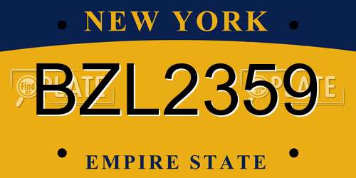 BZL2359 New York License Plate