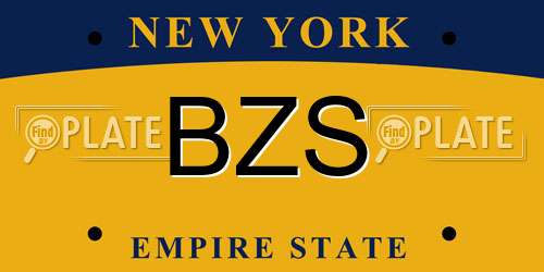BZS New York License Plate