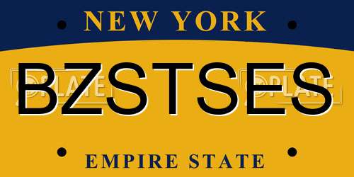BZSTSES New York License Plate
