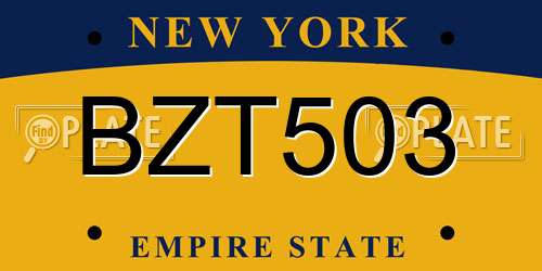 BZT503 New York License Plate