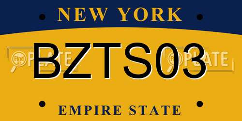 BZTS03 New York License Plate
