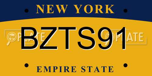 BZTS91 New York License Plate