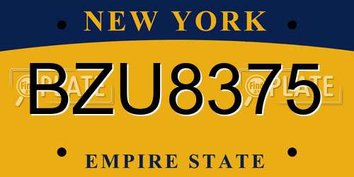 BZU8375 New York License Plate