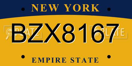BZX8167 New York License Plate