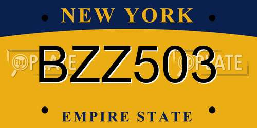BZZ503 New York License Plate