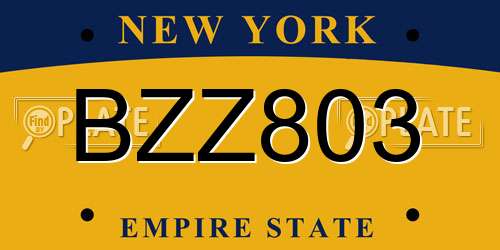 BZZ803 New York License Plate