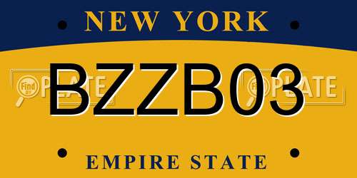 BZZB03 New York License Plate