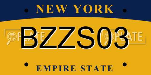 BZZS03 New York License Plate