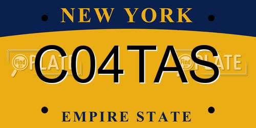 C04TAS New York License Plate