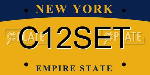 C12SET New York License Plate