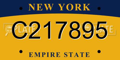 C217895 New York License Plate