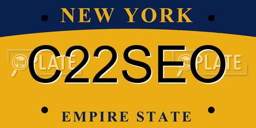 C22SEO New York License Plate