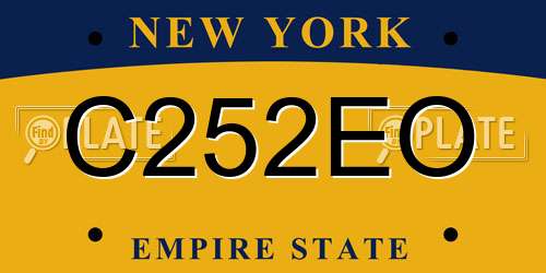 C252EO New York License Plate