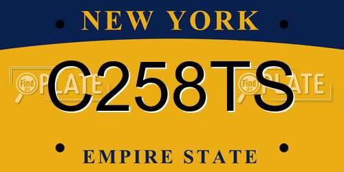 C258TS New York License Plate