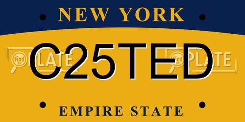 C25TED New York License Plate