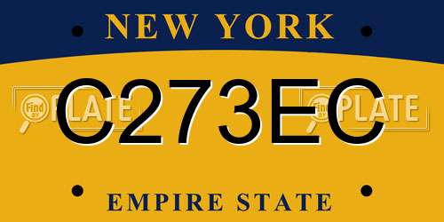 C273EC New York License Plate