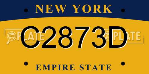 C2873D New York License Plate