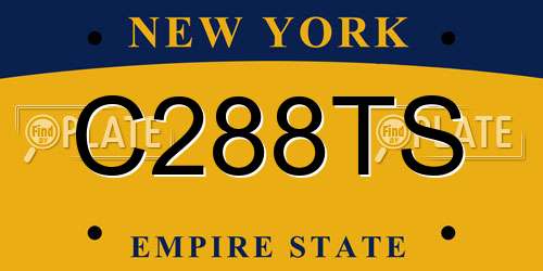 C288TS New York License Plate