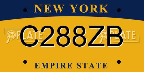 C288ZB New York License Plate