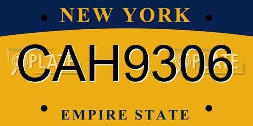 CAH9306 New York License Plate