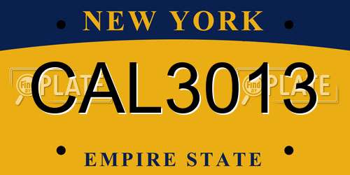 CAL3013 New York License Plate
