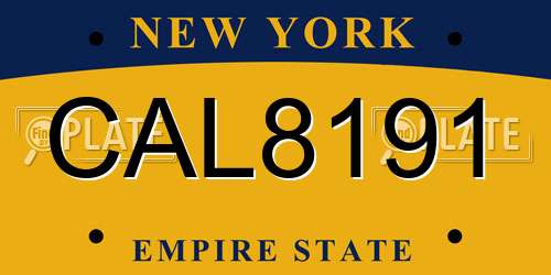 CAL8191 New York License Plate