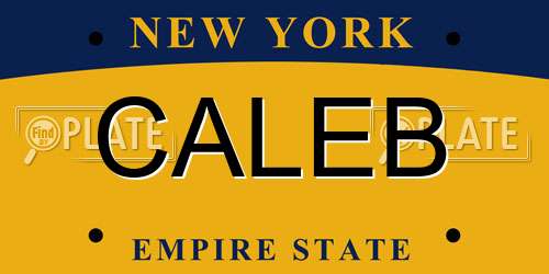 CALEB New York License Plate