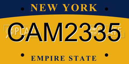 CAM2335 New York License Plate