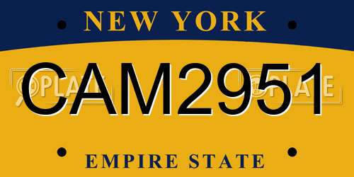 CAM2951 New York License Plate