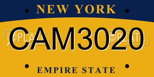CAM3020 New York License Plate