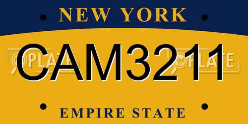 CAM3211 New York License Plate