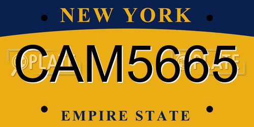 CAM5665 New York License Plate