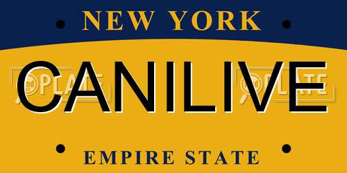 CANILIVE New York License Plate