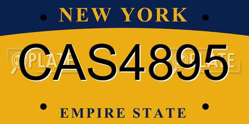CAS4895 New York License Plate