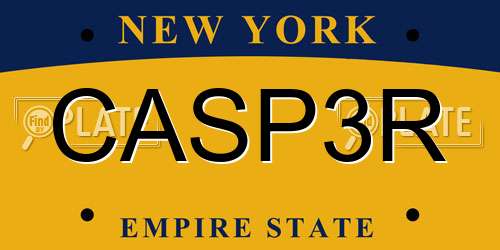 CASP3R New York License Plate