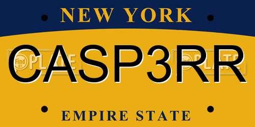 CASP3RR New York License Plate