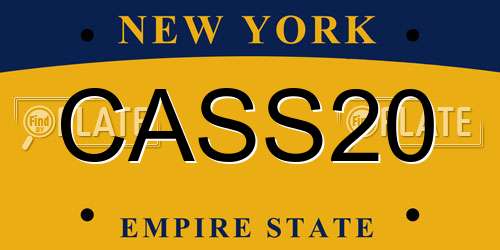 CASS20 New York License Plate