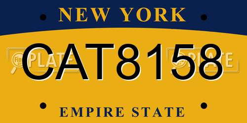 CAT8158 New York License Plate